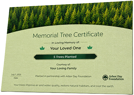 Plant Trees in Memory of Ramona Lynn Hopson